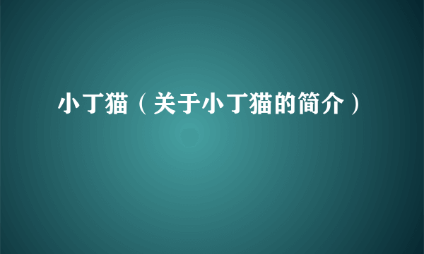 小丁猫（关于小丁猫的简介）