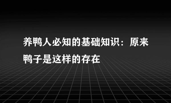 养鸭人必知的基础知识：原来鸭子是这样的存在