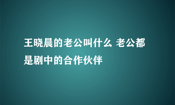 王晓晨的老公叫什么 老公都是剧中的合作伙伴