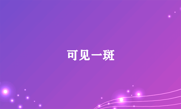 可见一斑