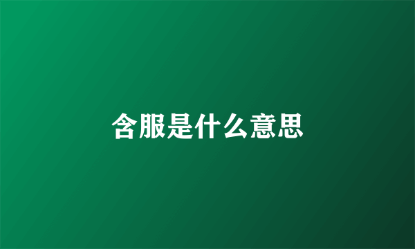 含服是什么意思