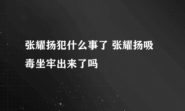 张耀扬犯什么事了 张耀扬吸毒坐牢出来了吗