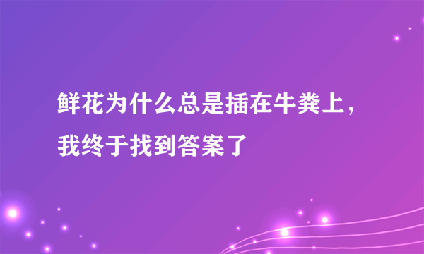 鲜花为什么总是插在牛粪上，我终于找到答案了