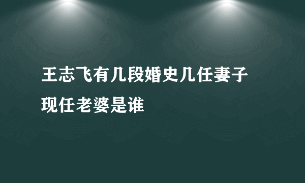 王志飞有几段婚史几任妻子 现任老婆是谁