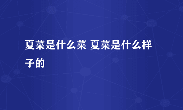 夏菜是什么菜 夏菜是什么样子的