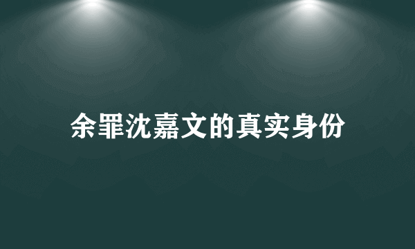 余罪沈嘉文的真实身份