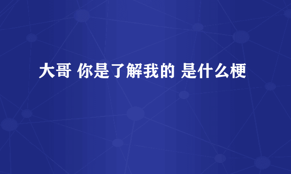 大哥 你是了解我的 是什么梗