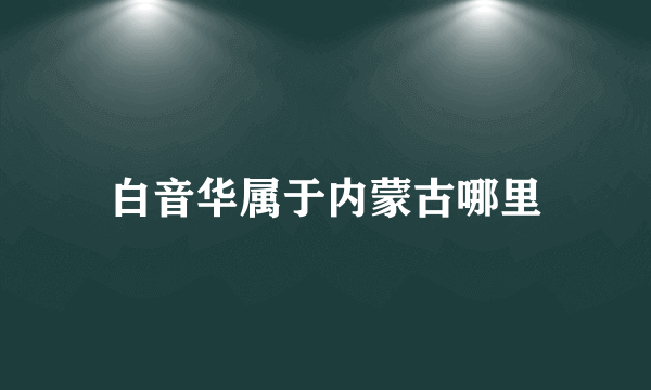 白音华属于内蒙古哪里