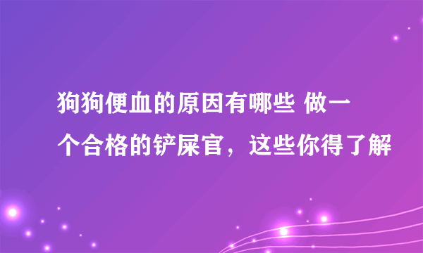 狗狗便血的原因有哪些 做一个合格的铲屎官，这些你得了解