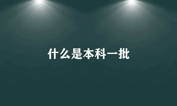 什么是本科一批