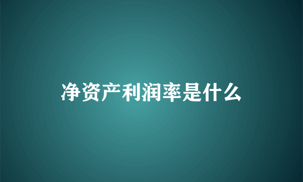 净资产利润率是什么