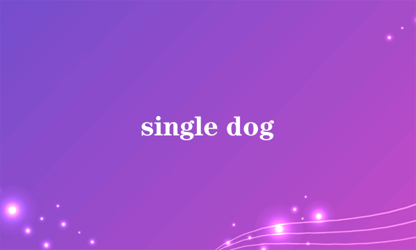 single dog