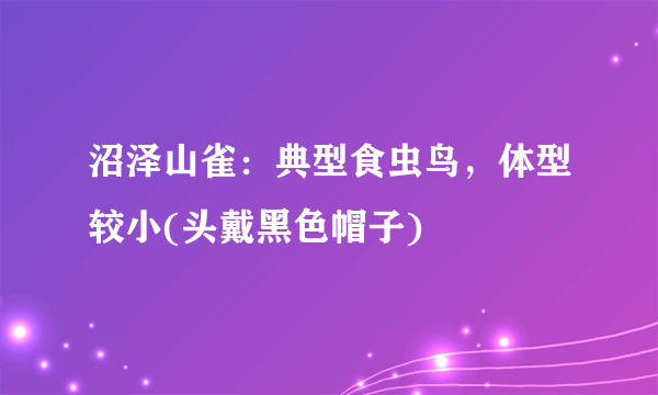 沼泽山雀：典型食虫鸟，体型较小(头戴黑色帽子)