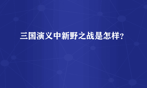 三国演义中新野之战是怎样？