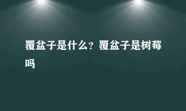 覆盆子是什么？覆盆子是树莓吗