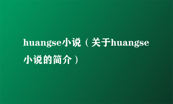 huangse小说（关于huangse小说的简介）