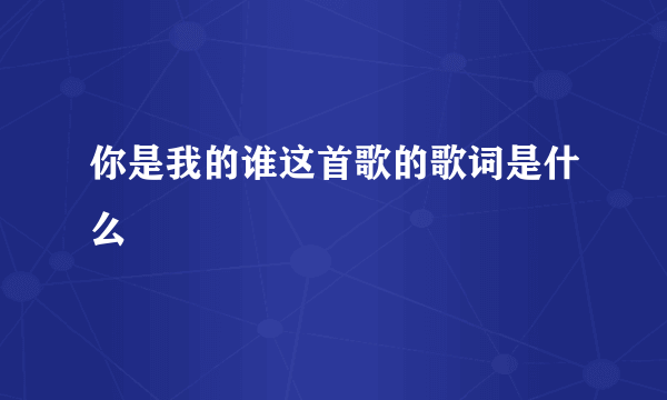 你是我的谁这首歌的歌词是什么