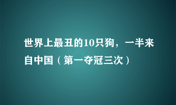 世界上最丑的10只狗，一半来自中国（第一夺冠三次）