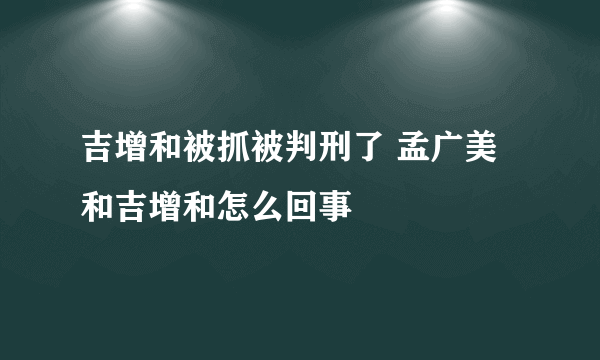 吉增和被抓被判刑了 孟广美和吉增和怎么回事