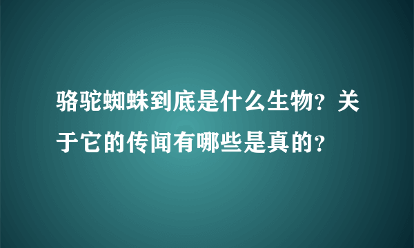 骆驼蜘蛛到底是什么生物？关于它的传闻有哪些是真的？