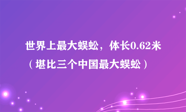 世界上最大蜈蚣，体长0.62米（堪比三个中国最大蜈蚣）