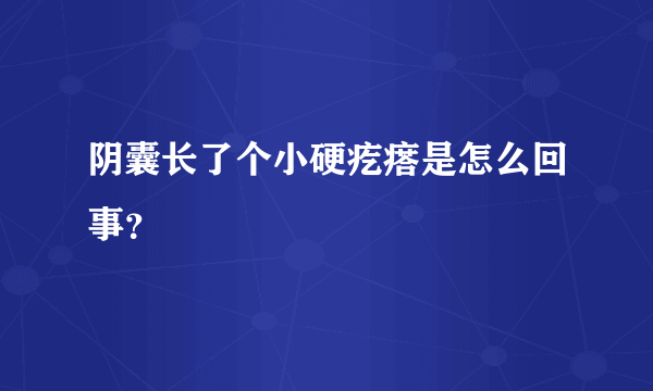 阴囊长了个小硬疙瘩是怎么回事？