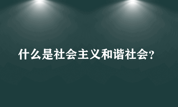 什么是社会主义和谐社会？