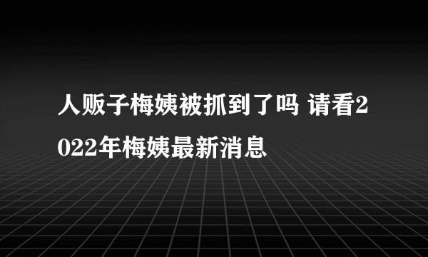 人贩子梅姨被抓到了吗 请看2022年梅姨最新消息