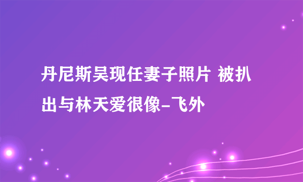 丹尼斯吴现任妻子照片 被扒出与林天爱很像-飞外