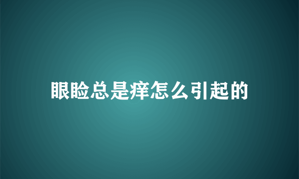 眼睑总是痒怎么引起的