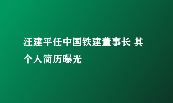 汪建平任中国铁建董事长 其个人简历曝光