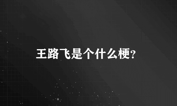 王路飞是个什么梗？