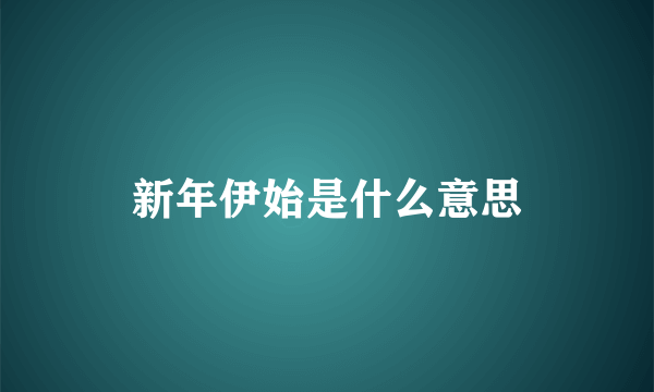 新年伊始是什么意思