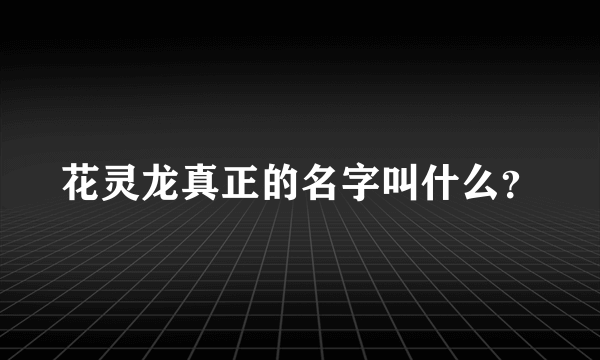 花灵龙真正的名字叫什么？