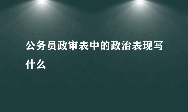 公务员政审表中的政治表现写什么