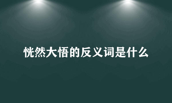 恍然大悟的反义词是什么