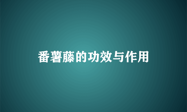 番薯藤的功效与作用