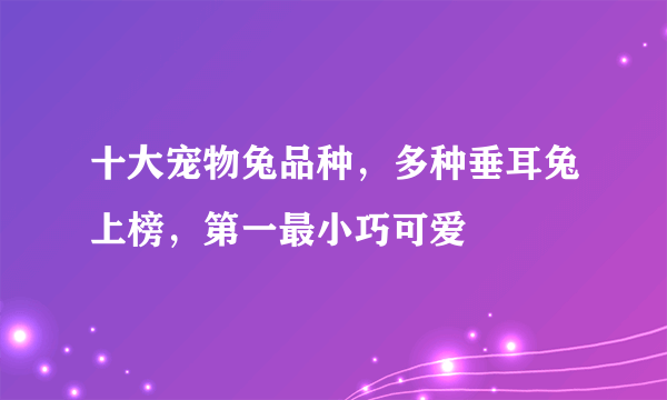 十大宠物兔品种，多种垂耳兔上榜，第一最小巧可爱