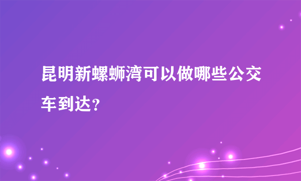 昆明新螺蛳湾可以做哪些公交车到达？