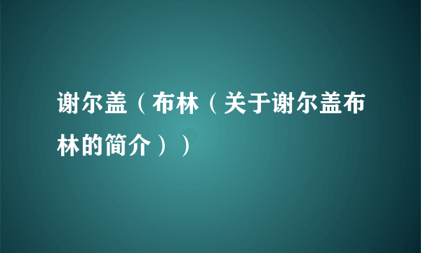 谢尔盖（布林（关于谢尔盖布林的简介））