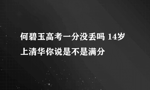 何碧玉高考一分没丢吗 14岁上清华你说是不是满分