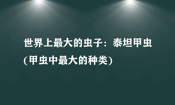 世界上最大的虫子：泰坦甲虫(甲虫中最大的种类)