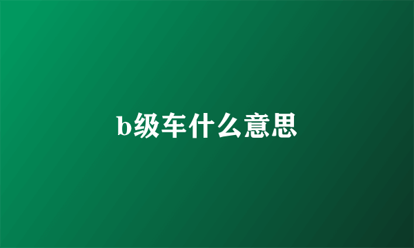 b级车什么意思