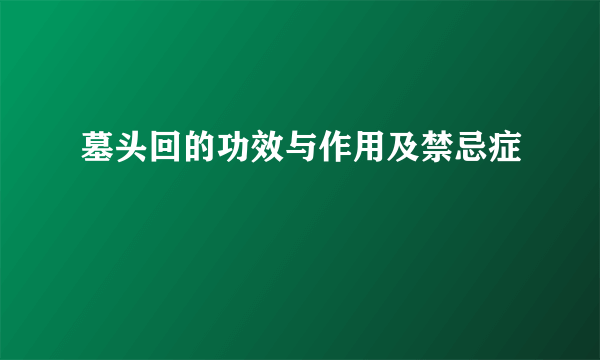 墓头回的功效与作用及禁忌症