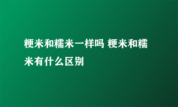 粳米和糯米一样吗 粳米和糯米有什么区别