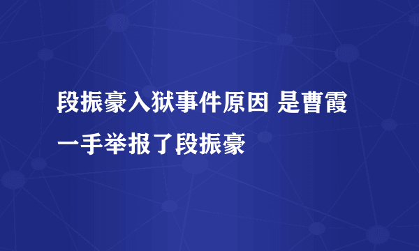 段振豪入狱事件原因 是曹霞一手举报了段振豪