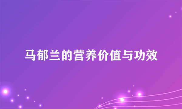 马郁兰的营养价值与功效