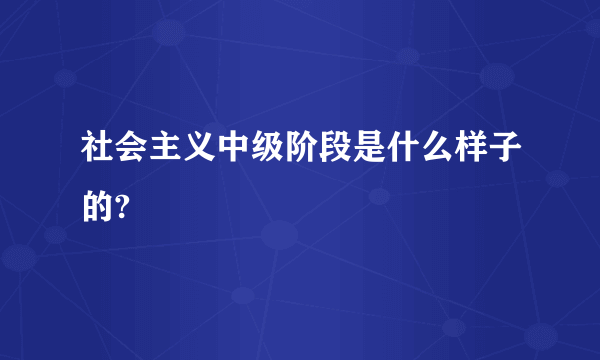 社会主义中级阶段是什么样子的?