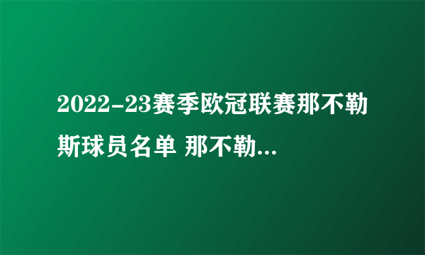 2022-23赛季欧冠联赛那不勒斯球员名单 那不勒斯2022欧冠阵容