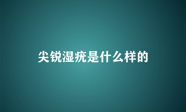 尖锐湿疣是什么样的